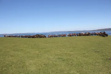 AMIGOS DEL CAMPO REALIZARON CABALGATA POR SECTORES DE LA COMUNA DE CURACO DE VÉLEZ - Wapi Chilwe