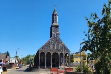 CAMPAÑA DE LA LEÑA 2024 - Wapi Chilwe