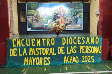 Imagen noticias Wapi Chilwe