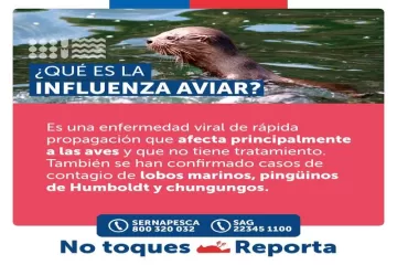 ¿QUÉ ES LA INFLUENZA AVIAR? - Wapi Chilwe
