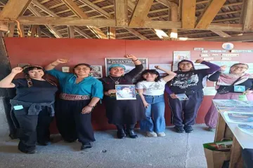STAND DE LA RED DE MUJERES ORIGINARIAS MARCÓ PRESENCIA EN FESTIVAL - Wapi Chilwe